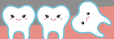 Is A Wisdom Tooth Useful Or Useless